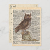 Vintages Wörterbuch Art Brown Owl Bird Postkarte (Vorne/Hinten)