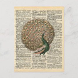 Vintages Wörterbuch Kunst Schöner Pfauenvogel Postkarte