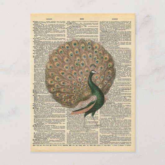 Vintages Wörterbuch Kunst Schöner Pfauenvogel Postkarte (Vorderseite)
