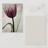 Vintages X-Ray Tulip Mitteilungskarte (Vorne/Hinten)