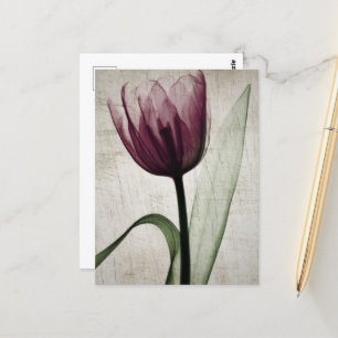 Vintages X-Ray Tulip Postkarte