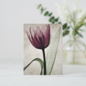 Vintages X-Ray Tulip Postkarte (Stehend Vorderseite)