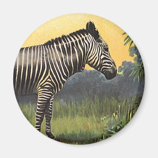 Vintages Zebra in der afrikanischen Savannah, Wild Magnet (Vorne)