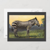 Vintages Zebra in der afrikanischen Savannah, Wild Postkarte (Vorne/Hinten)