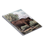 Vintages Zeichn: Rote Heide Notizblock (Rechte Seite)