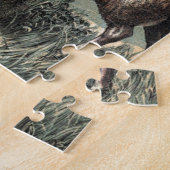 Vintages Zeichnen: Blackhead-Perser-Schafe Puzzle (Seite)