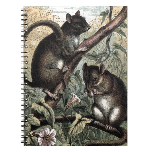 Vintages Zeichnen: Der Dormouse Notizblock (Vorderseite)