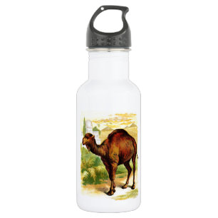Vintages Zeichnen: Der Dromedary Trinkflasche