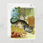 Vintages Zeichnen: Die schlaue Katze Postkarte (Vorne/Hinten)