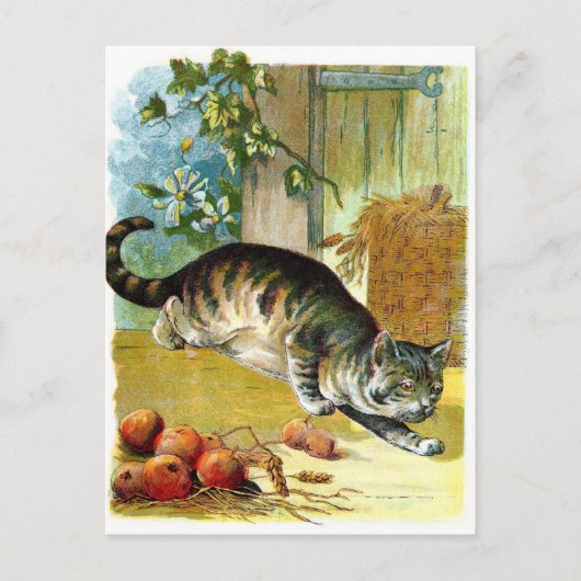 Vintages Zeichnen: Die schlaue Katze Postkarte (Vorderseite)