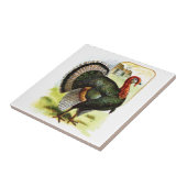 Vintages Zeichnen: Die Türkei Fliese (Seite)