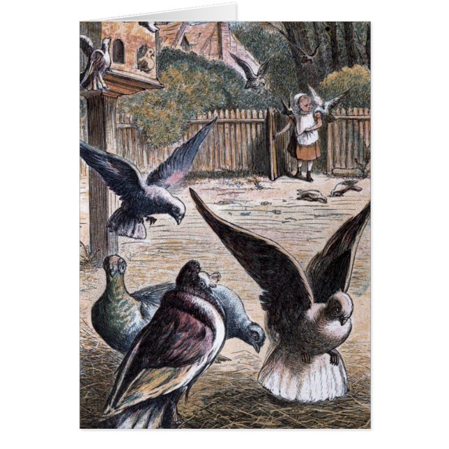 Vintages Zeichnen: Träger Pidgeons (Vorne)