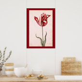 Vintages Zeichnend Tulip Poster (Küche)