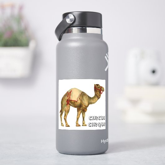 Vintages Zirkus-darstellend-Kamel Aufkleber (HydroFlask)