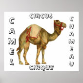 Vintages Zirkus-darstellend-Kamel Poster (Vorne)