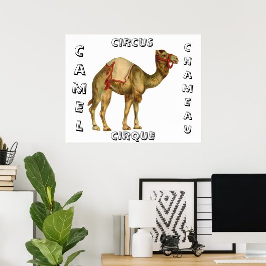 Vintages Zirkus-darstellend-Kamel Poster (Heimbüro)