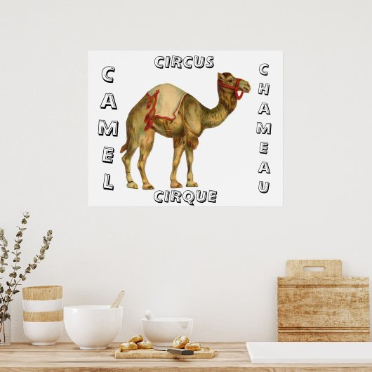 Vintages Zirkus-darstellend-Kamel Poster (Küche)