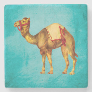 Vintages Zirkus-Kamel auf Aqua Steinuntersetzer