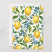 Vintages Zitrusfrüchte-Brautparty Einladung (Rückseite)
