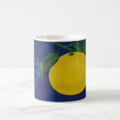 Vintages Zitrusfrüchteetikett Kaffeetasse (Mittel)