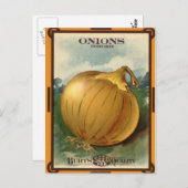 Vintages Zwiebelfutter Postkarte (Vorne/Hinten)