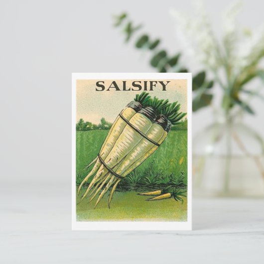 vintintsify seed packet postcard postkarte (Stehend Vorderseite)
