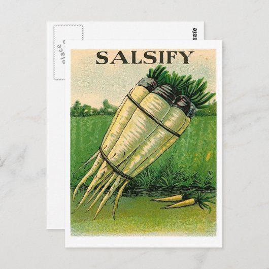 vintintsify seed packet postcard postkarte (Vorne/Hinten)