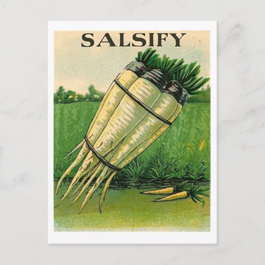 vintintsify seed packet postcard postkarte (Vorderseite)
