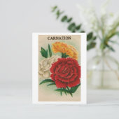 vintnia seed packet postcard postkarte (Stehend Vorderseite)