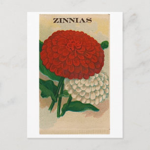 vintnia seed packet postcard postkarte
