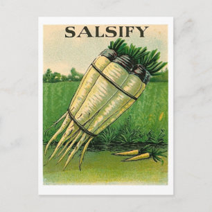 Vintsify seed packet postcard postkarte