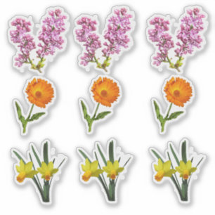 Vinyl-Aufkleber - Frühlingsblumen Aufkleber