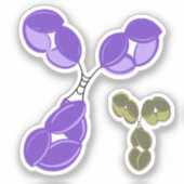 Vinyl-Aufkleber - lila IgG (Antikörper) mit Bonus Aufkleber (Vorderseite)