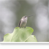 Vinyl-Aufkleber nach Maß Aufkleber (Vorderseite)