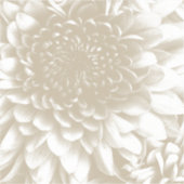 Vinyl-Aufkleber nach Maß Aufkleber (Vorderseite)