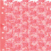 Vinyl-Aufkleber nach Maß Aufkleber (Vorderseite)