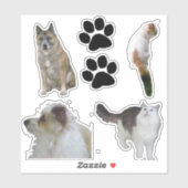 Vinyl Sticker - Katzen und Hunde (Blatt)
