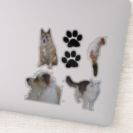 Vinyl Sticker - Katzen und Hunde