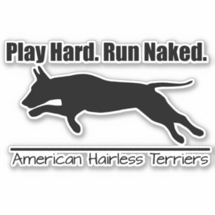 Vinyl Sticker Play Hard AHT Design
