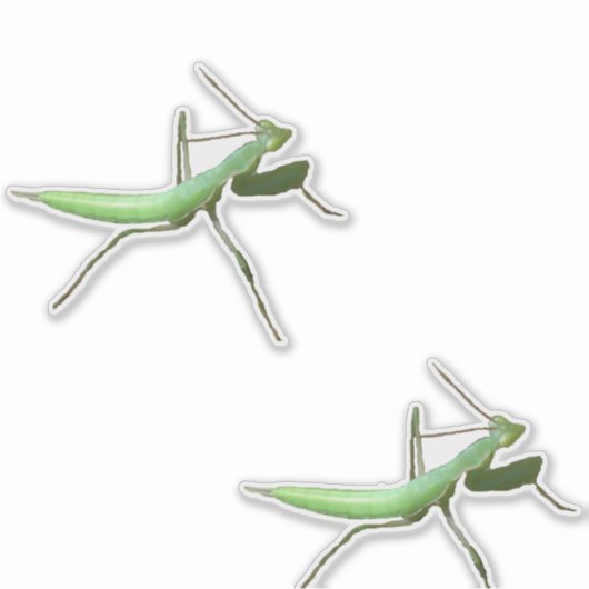 Vinyl Sticker - Preying Mantis (Vorderseite)