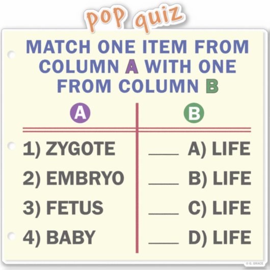 Vinyl sticker with a quiz. (Vorderseite)