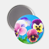 Viola Blume Magnet (Vorderseite/Rückseite)