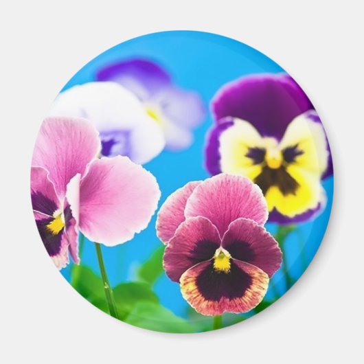 Viola Blume Magnet (Vorne)