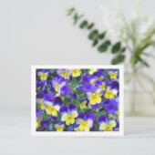 Viola cornuta postkarte (Stehend Vorderseite)
