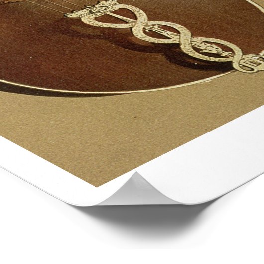 Viola da Gamba, or bass viol, by Joachim Tielke (1 Poster (Ecke)