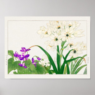 Viola, eine arabische Blume von Tanigami Konan Poster