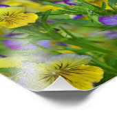 Viola Foto Print (Ecke)