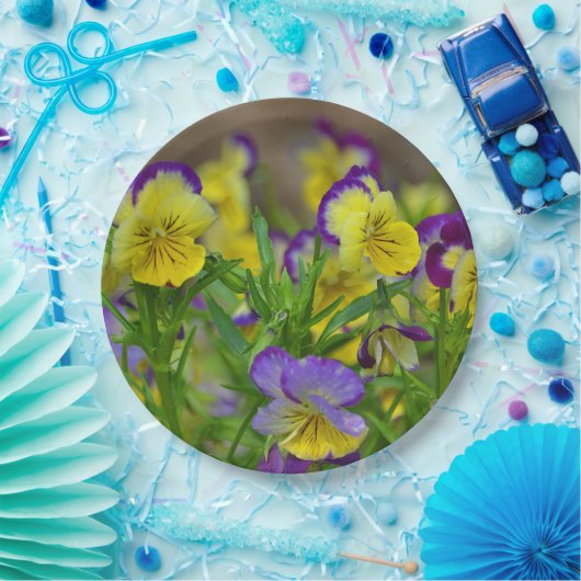 Viola Papierplatte Pappteller (Party)