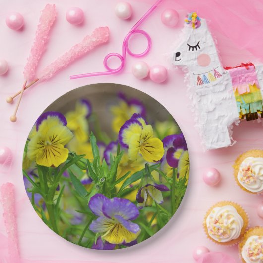 Viola Papierplatte Pappteller (Party)