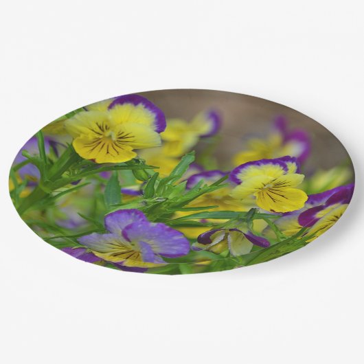 Viola Papierplatte Pappteller (Schrägansicht)